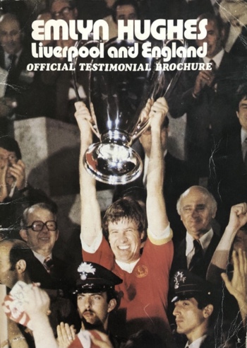 Testimonial Brochure