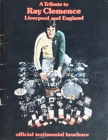 Testimonial Brochure