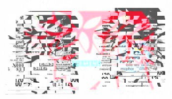 Match ticket
