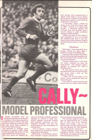 A Model Professional
