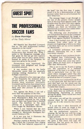 The professional soccer fans