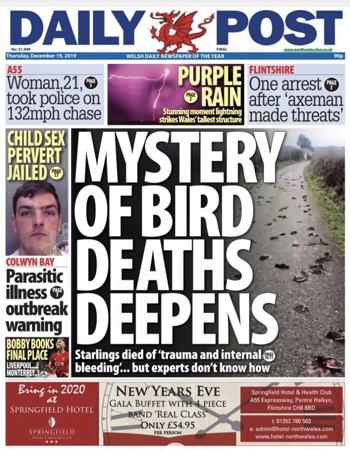 Daily Post Frontpage