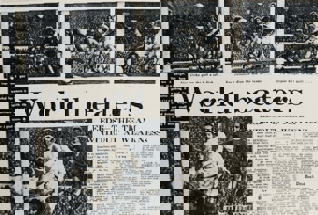 Daily Express Backpage