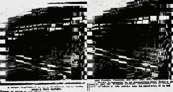 Liverpool Echo Article