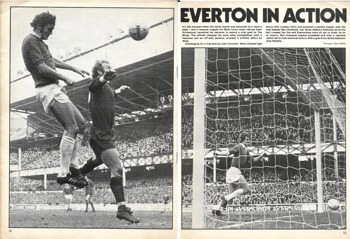 Lyon Goal Disallowed