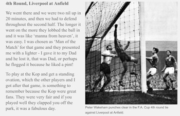 Perer Wakeham Article