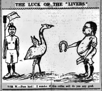 1905 - 9 September - Liverpool Echo 